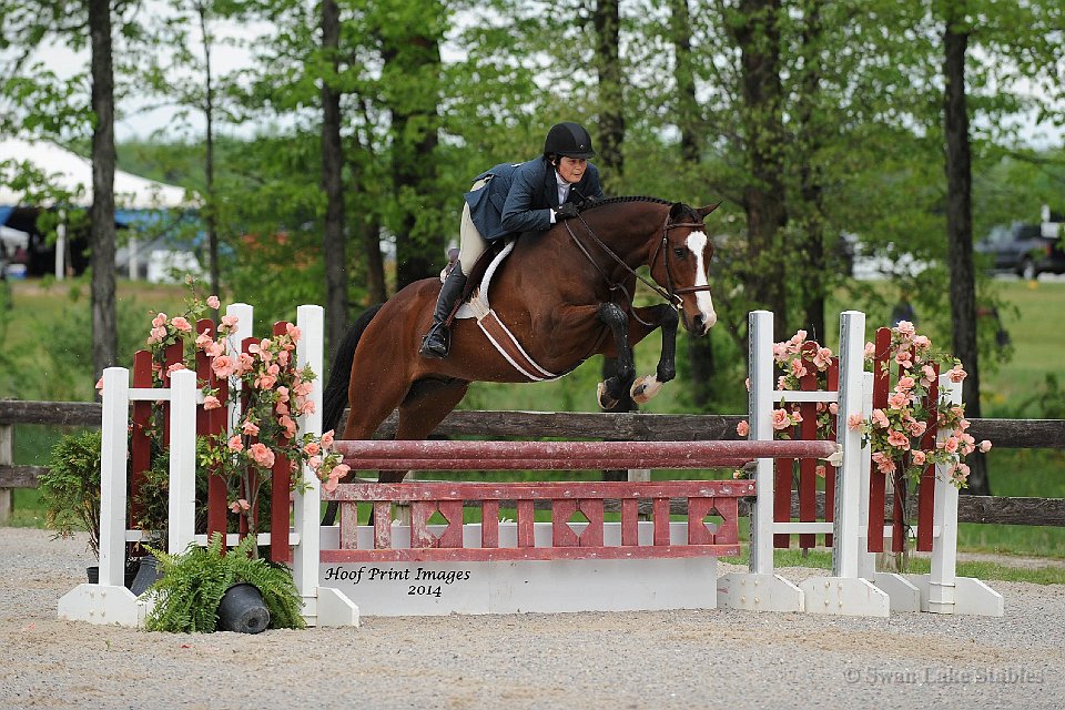 Mary showing Midnight Vigil in the Thoroughbred Hunters