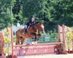 Amstel and Stephanie Boddiford 3