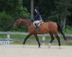 Amstel&Kate