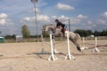 JuliaWitthoff&LabattBlue